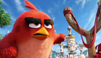 Angry bird